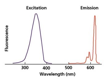時間分辨熒光免疫層析